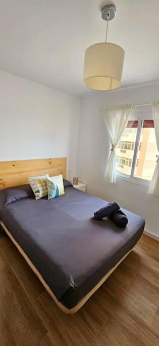 Apartamento Primera Linea La Manga エクステリア 写真