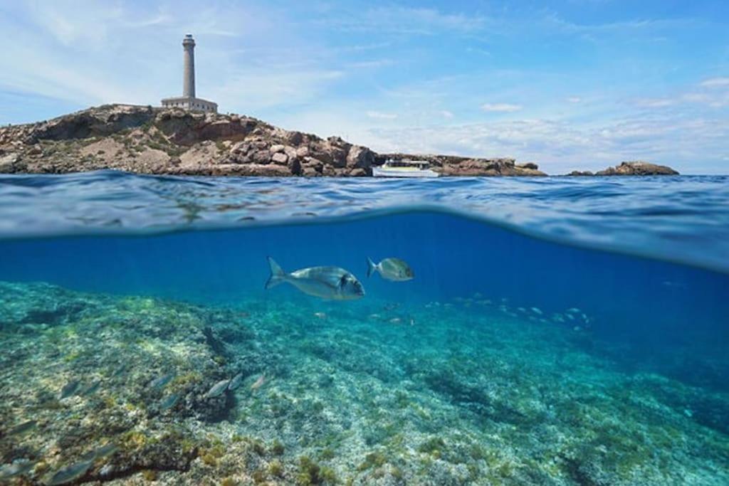 Apartamento Primera Linea La Manga エクステリア 写真